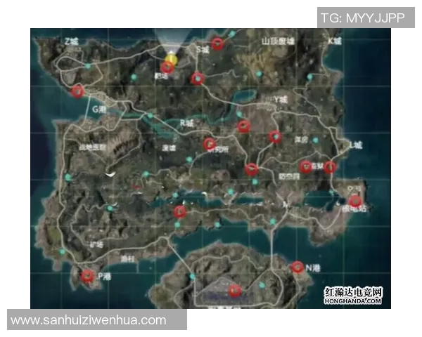 揭秘和平精英成功背后的故事与李芳的独特见解